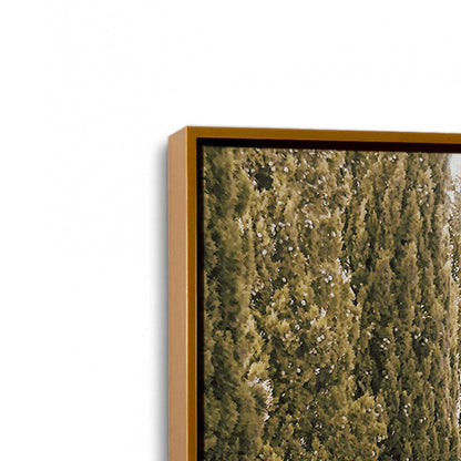 [Color:Polished Gold] Picture of art in a Polished Gold frame at an angle