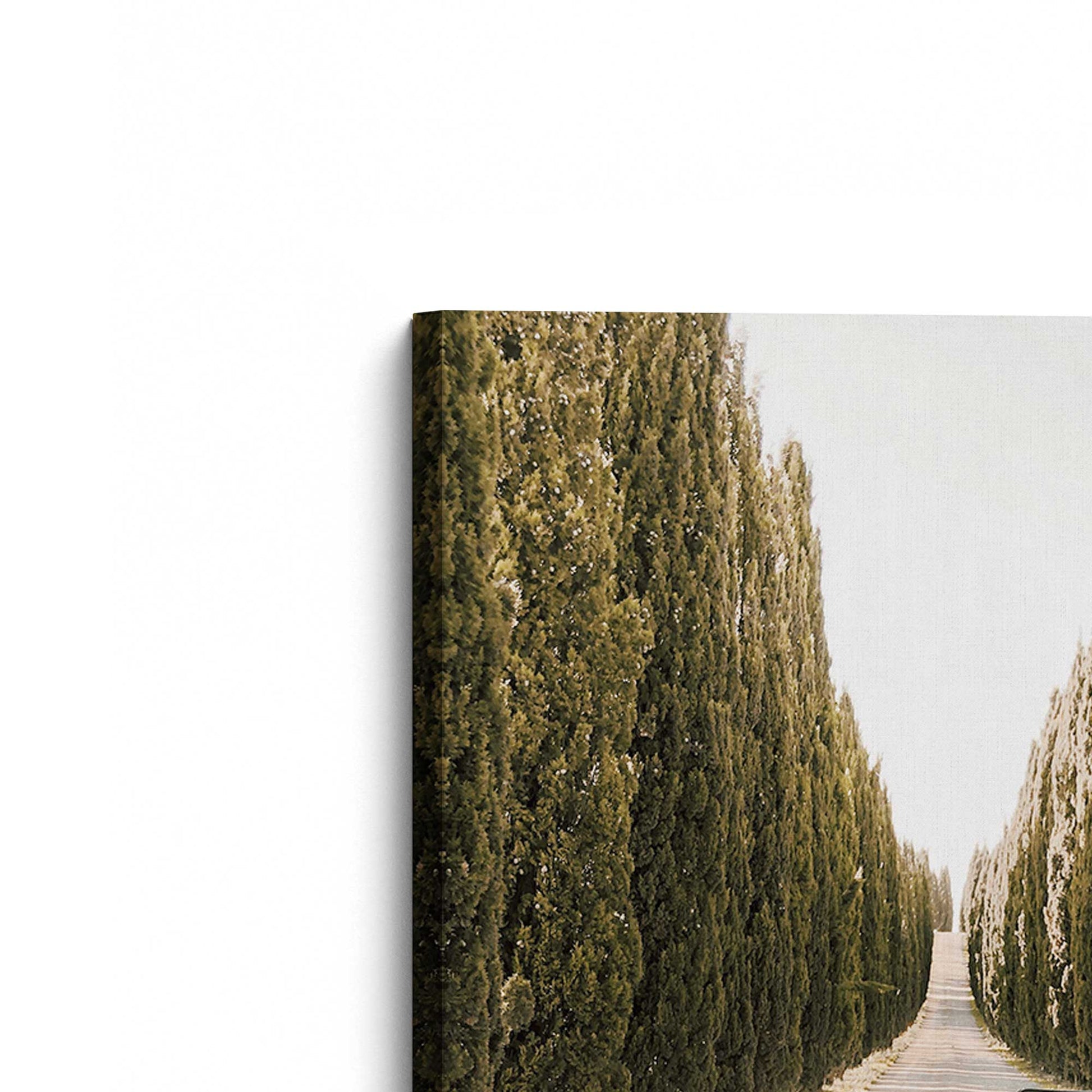 [Color:Stretched Canvas], Picture of the corner of the art