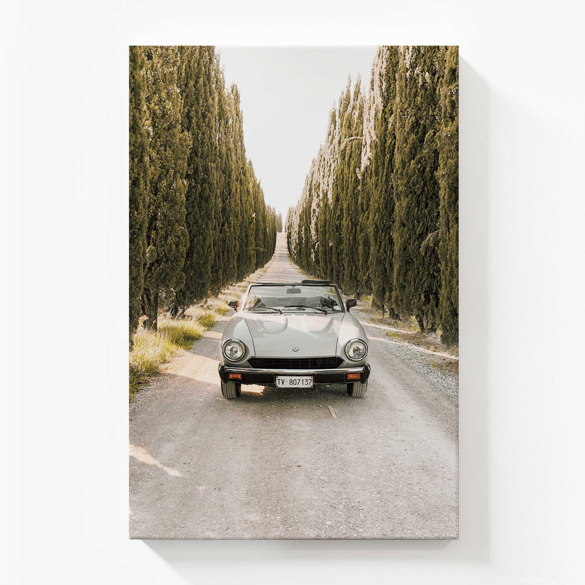 [Color:Stretched Canvas], Picture of art