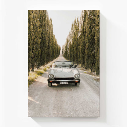 [Color:Stretched Canvas], Picture of art