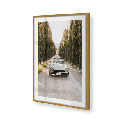 [Color:Polished Gold] Picture of art in a Polished Gold frame of the corner