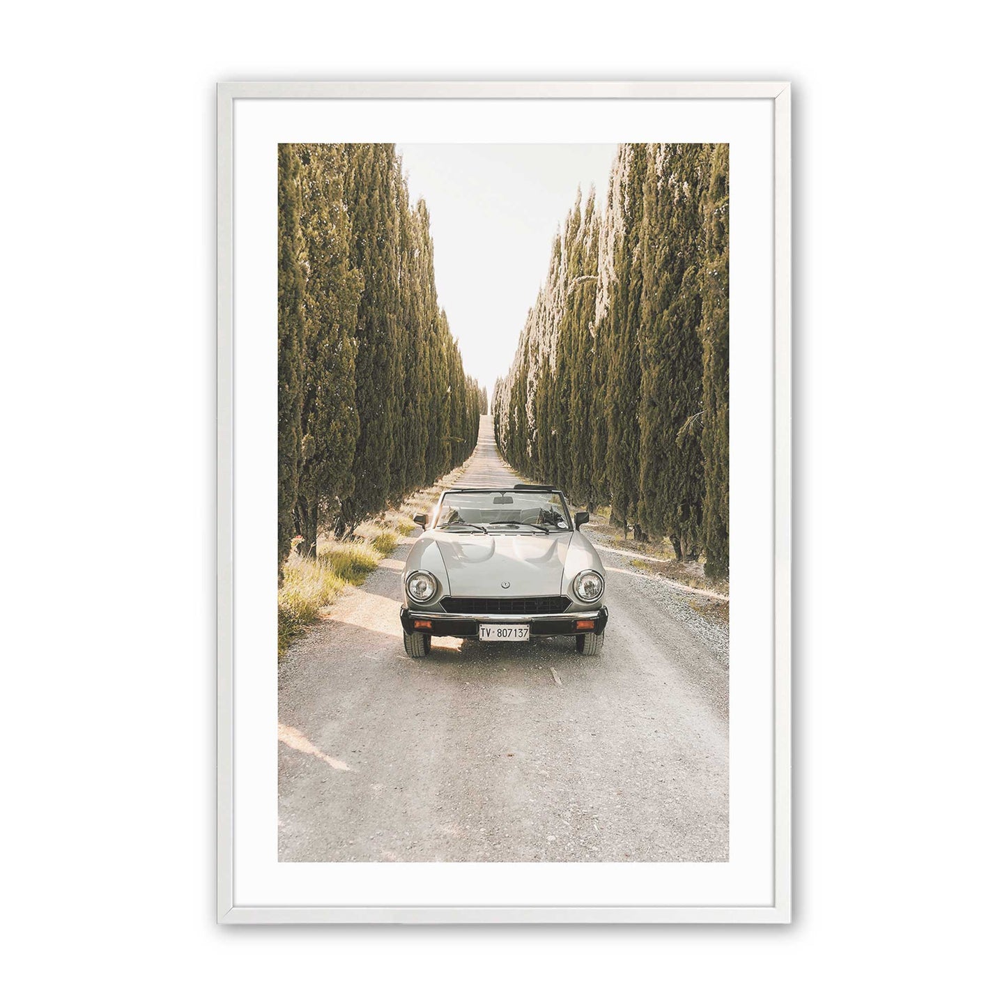 [Color:Opaque White] Picture of art in a Opaque White frame