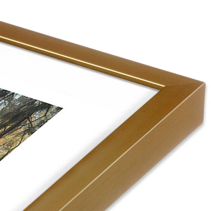 [Color:Polished Gold] Picture of art in a Polished Gold frame at an angle