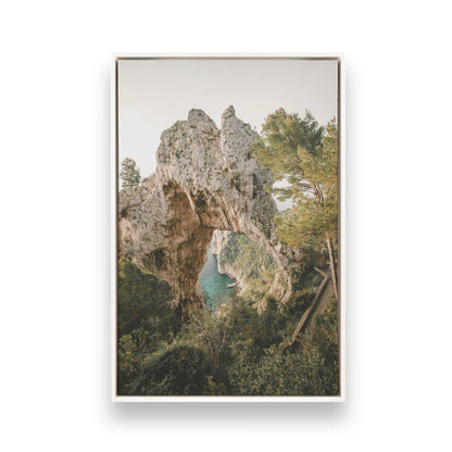 [Color:Opaque White] Picture of art in a White frame