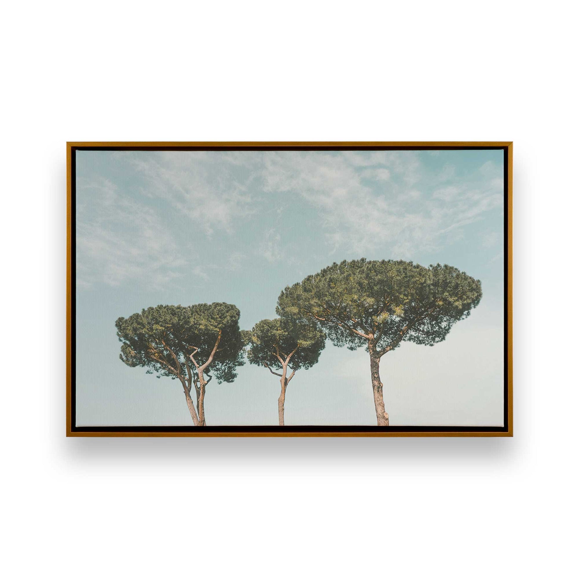 [Color:Polished Gold] Picture of art in a Polished Gold frame