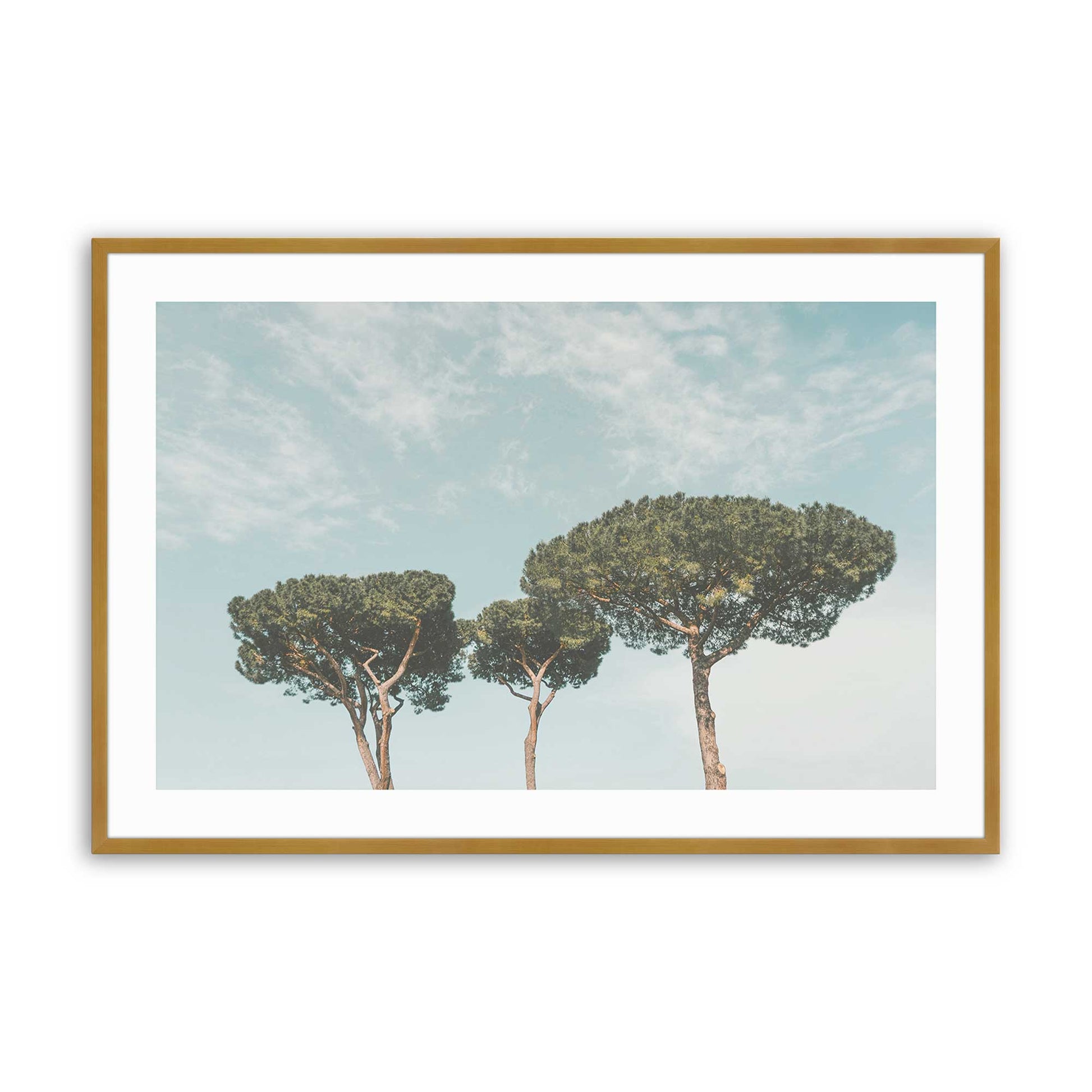 [Color:Polished Gold] Picture of art in a Polished Gold frame