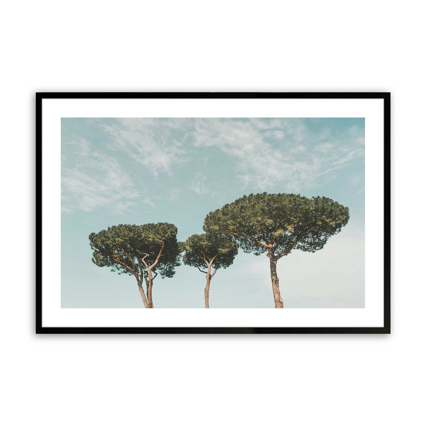[Color:Satin Black], Picture of art in a Satin Black frame