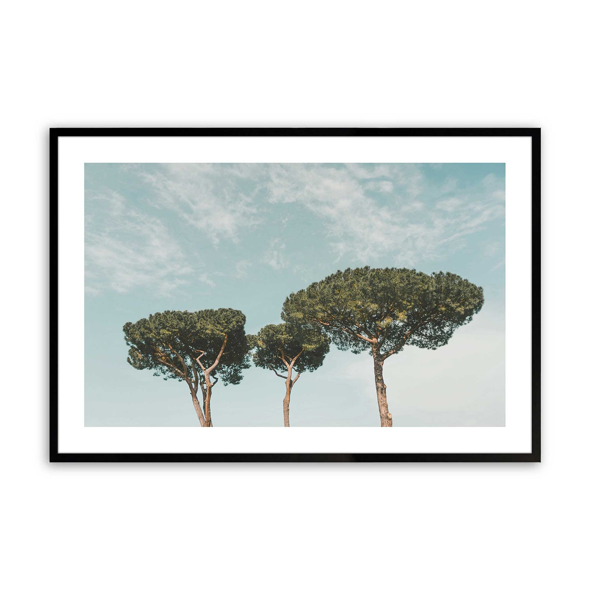 [Color:Satin Black], Picture of art in a Satin Black frame