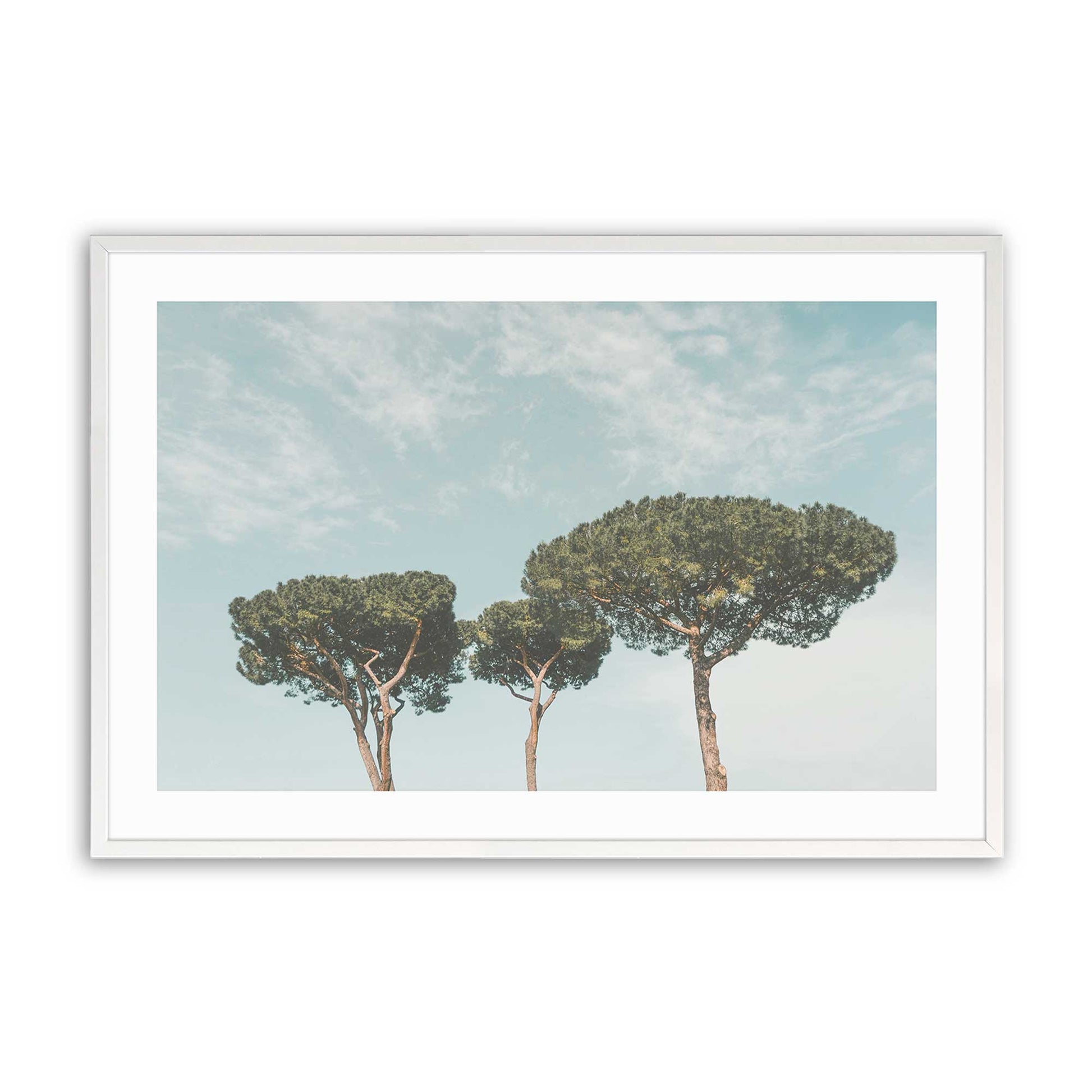 [Color:Opaque White] Picture of art in a Opaque White frame