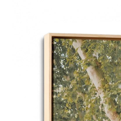 [Color:American Maple] Picture of art in a American Maple frame at an angle