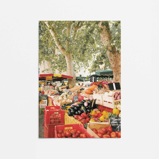 Market Treasures Promotional Rolled Print