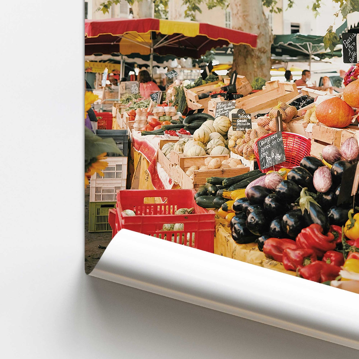 Market Treasures Promotional Rolled Print