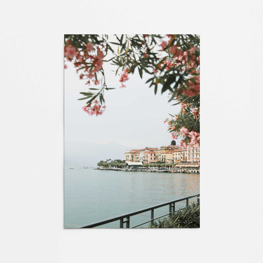 Scenic Blossoms Promotional Rolled Print