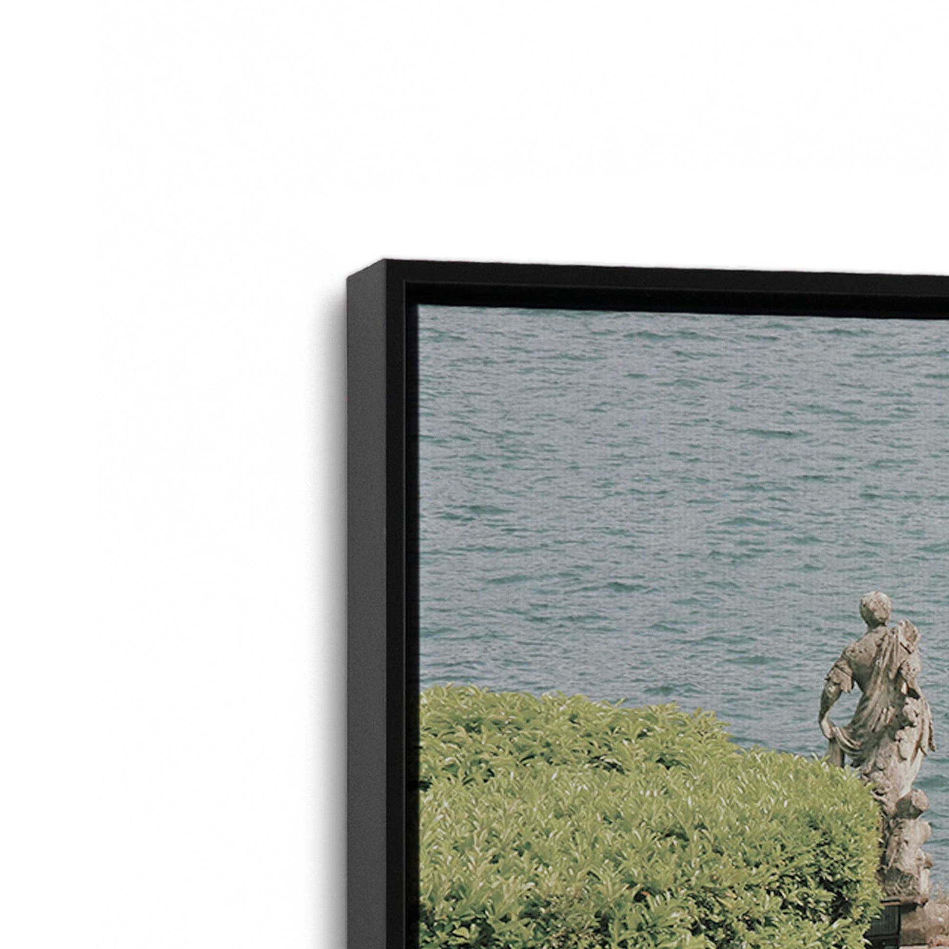 [Color:Satin Black] Picture of art in a Satin Black frame at an angle