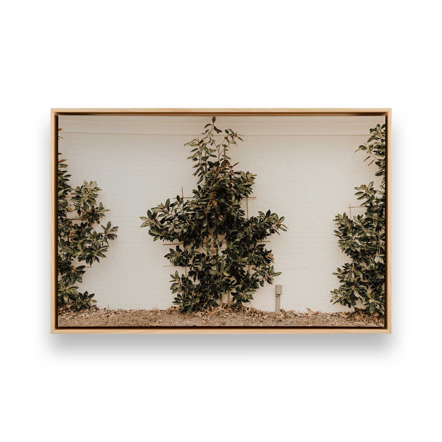 [Color:American Maple] Picture of art in a American Maple frame