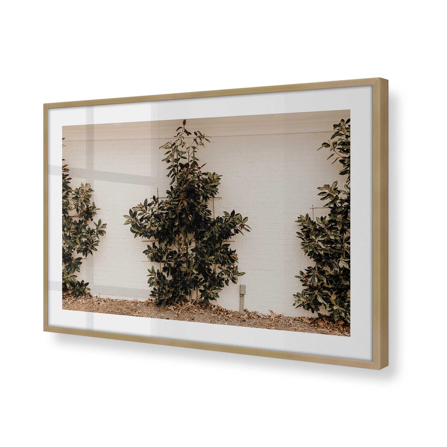 [Color:Brushed Gold] Picture of art in a Brushed Gold frame of the corner