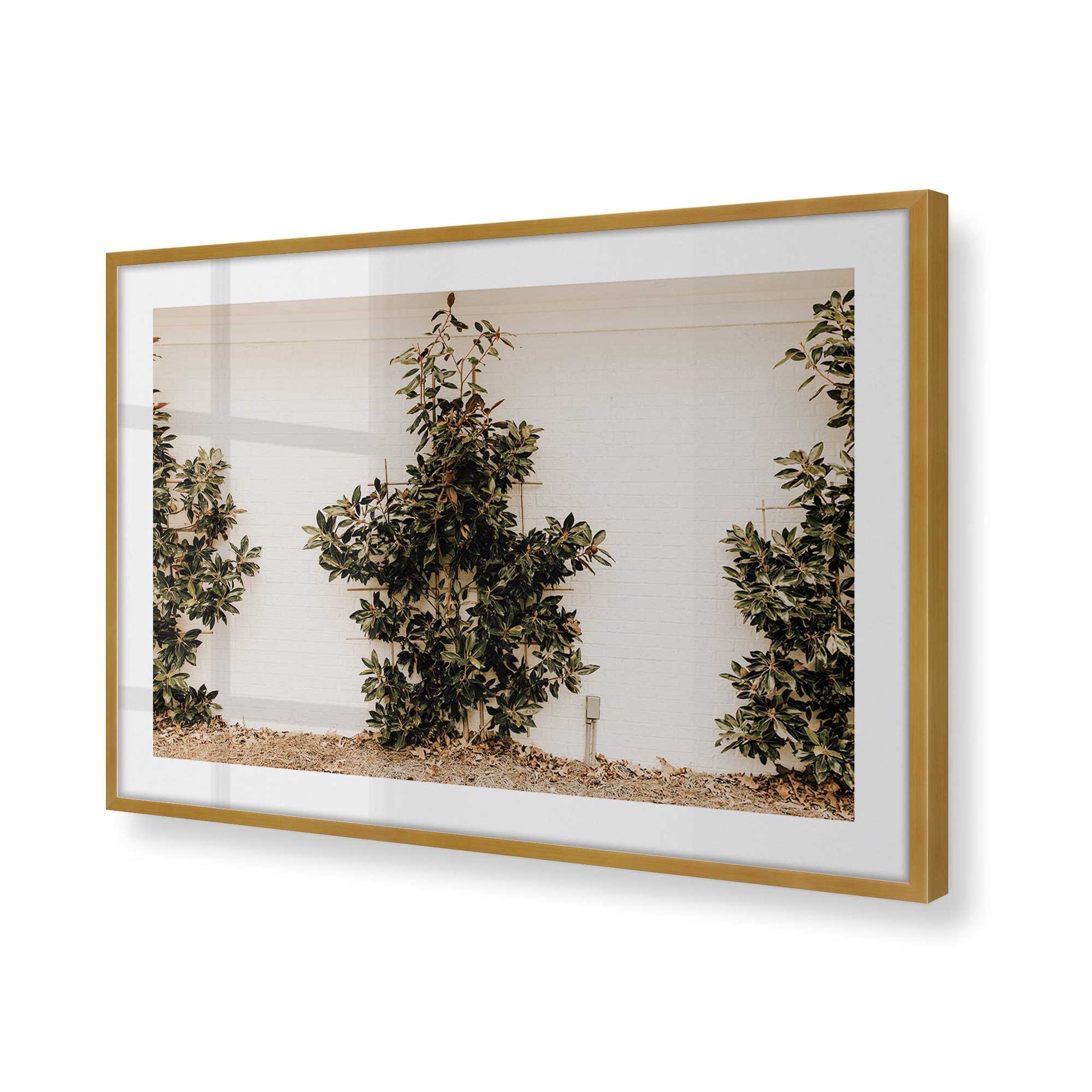 [Color:Polished Gold] Picture of art in a Polished Gold frame of the corner