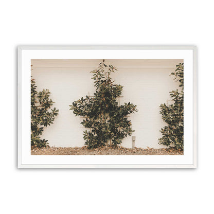 [Color:Opaque White] Picture of art in a Opaque White frame