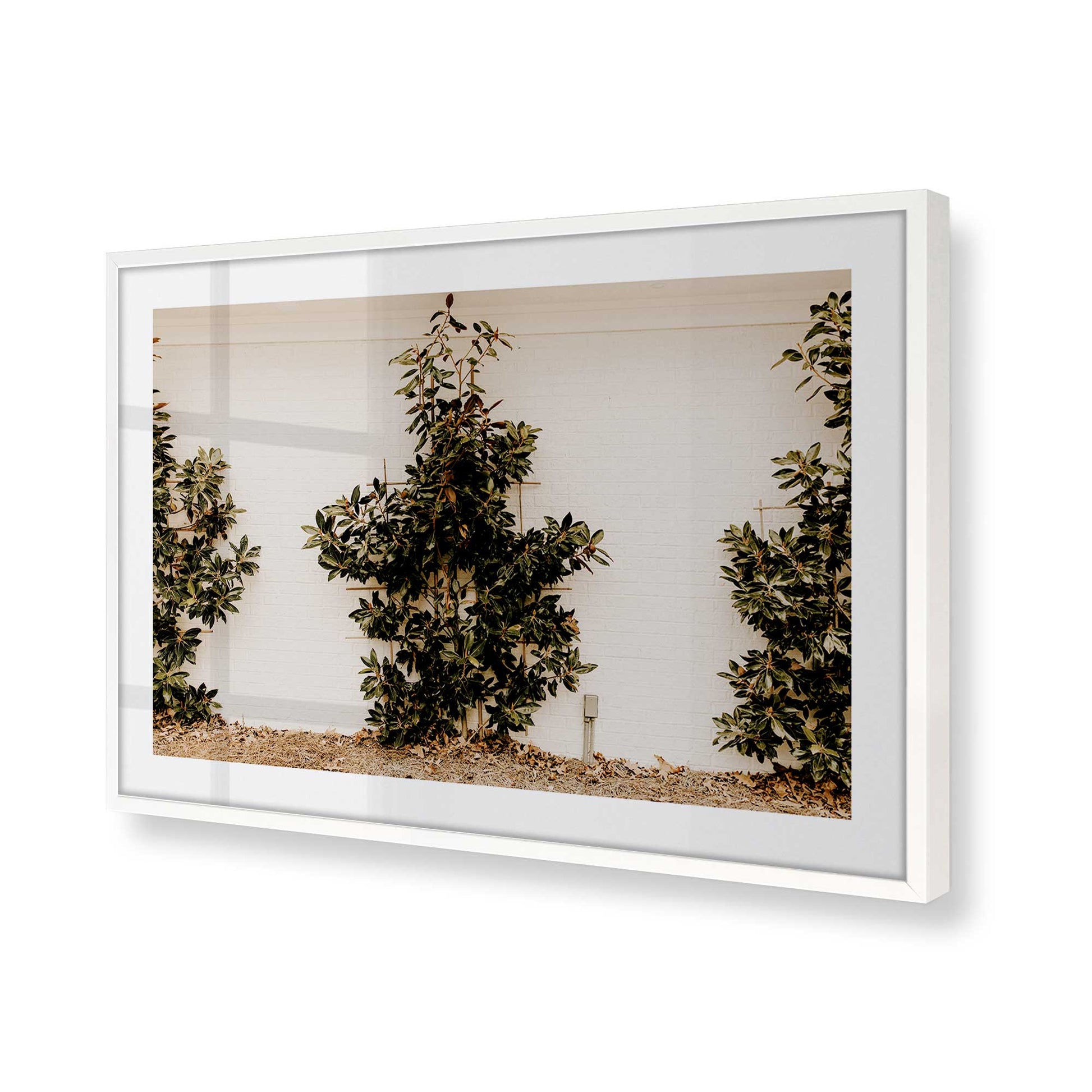 [Color:Opaque White] Picture of art in a Opaque White frame of the corner