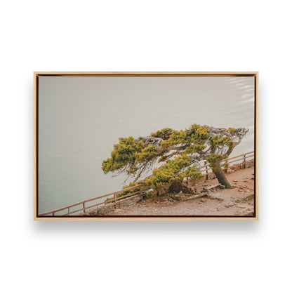 [Color:American Maple] Picture of art in a American Maple frame