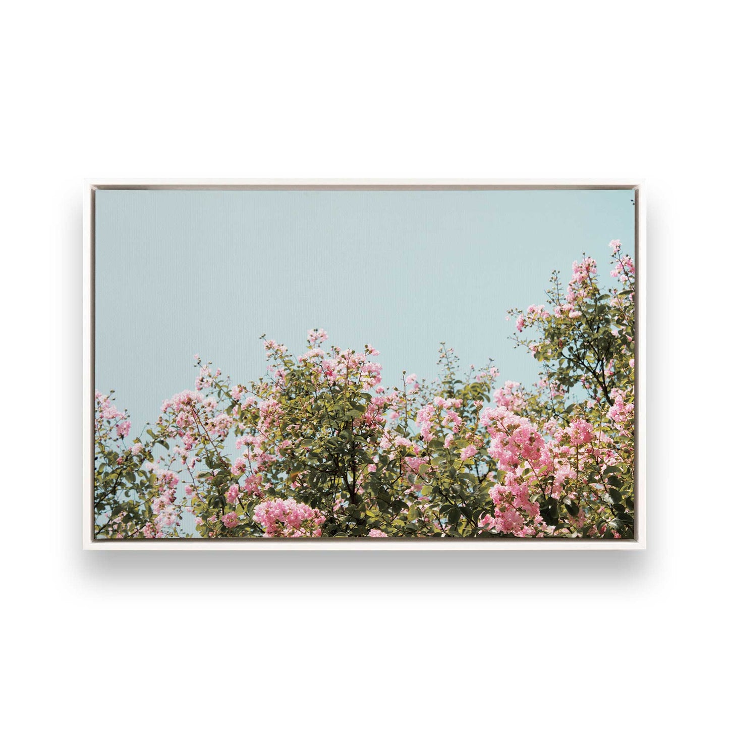 [Color:Opaque White] Picture of art in a White frame