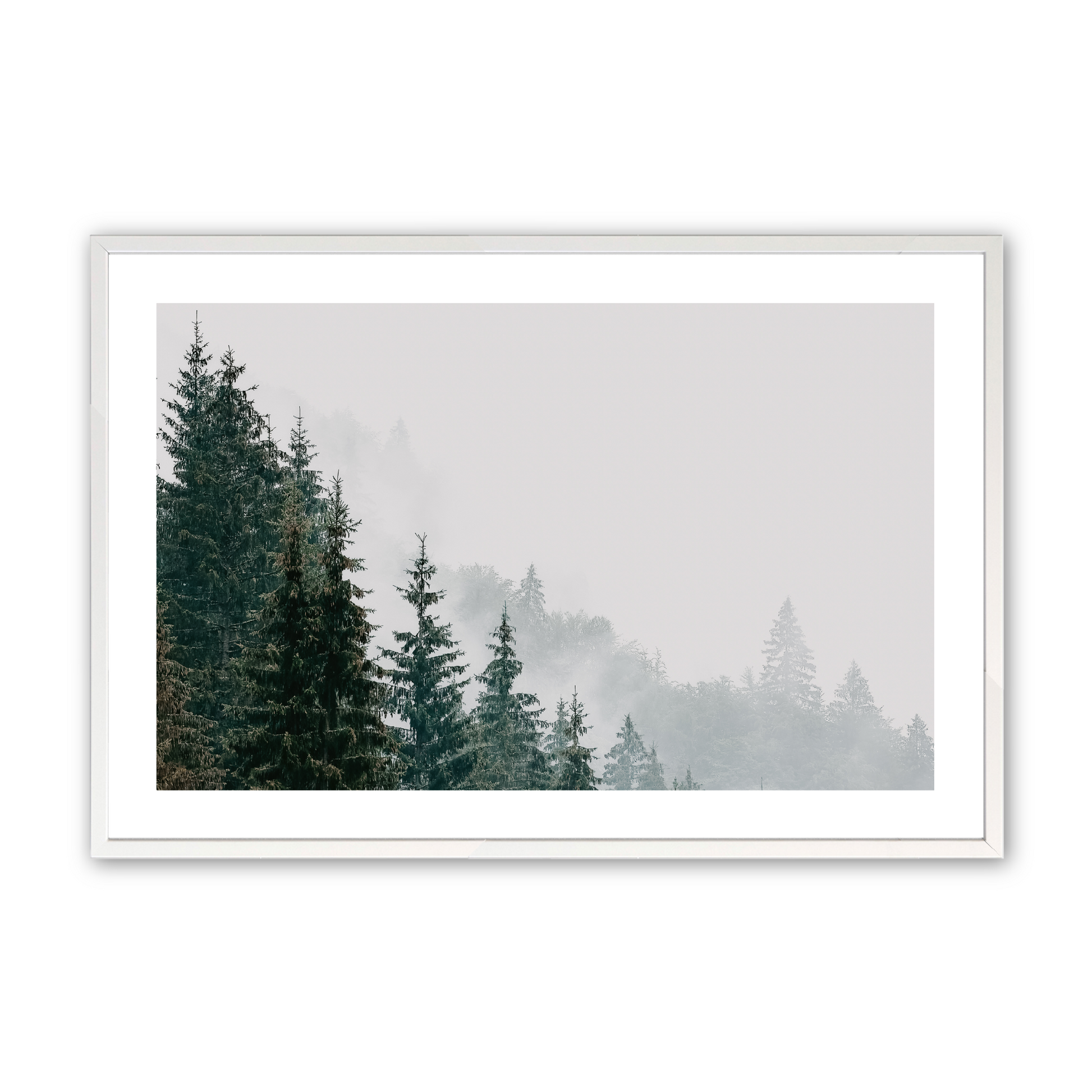 [Color:Opaque White], Art in our Opaque White wood frame