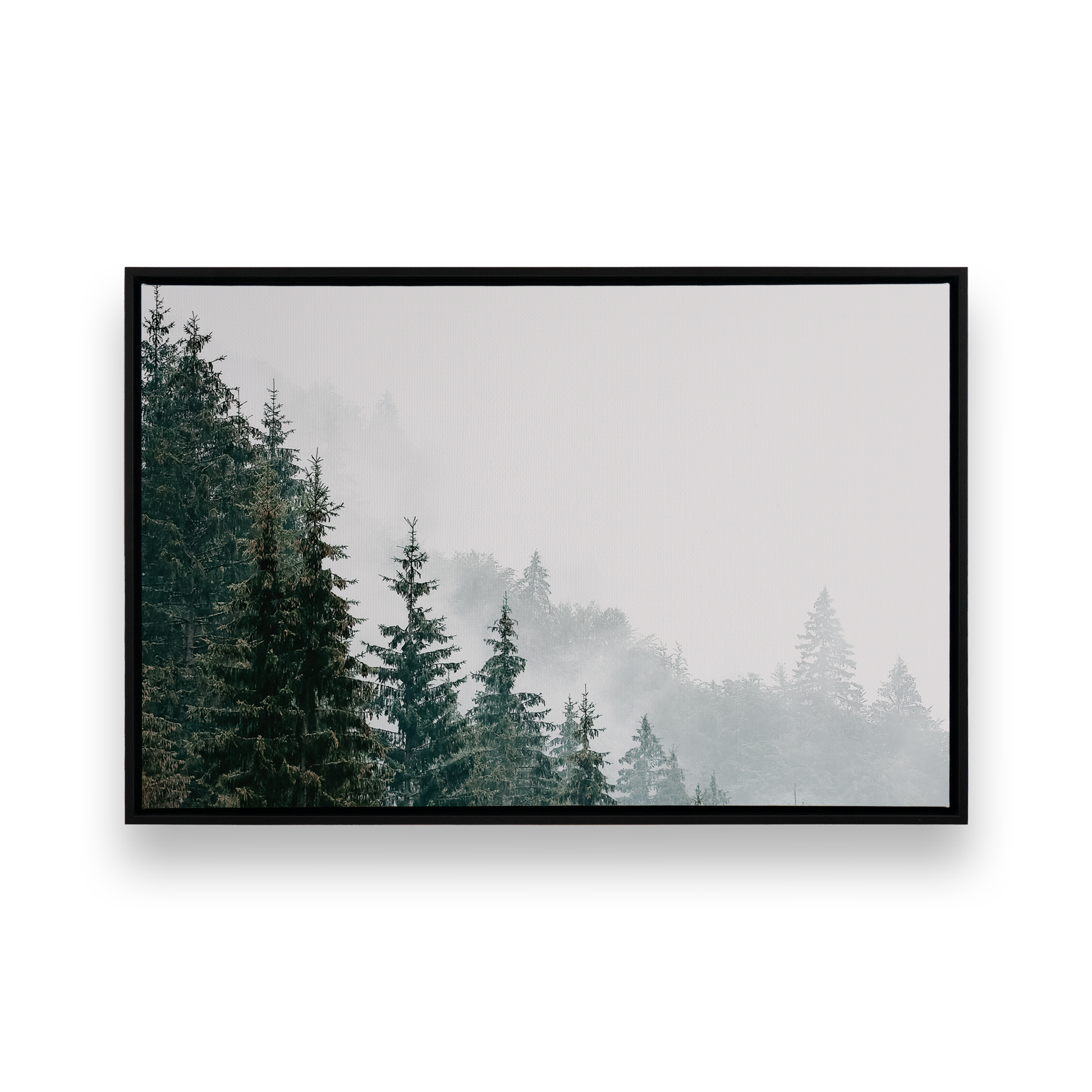 Picture of art in a Satin Black frame