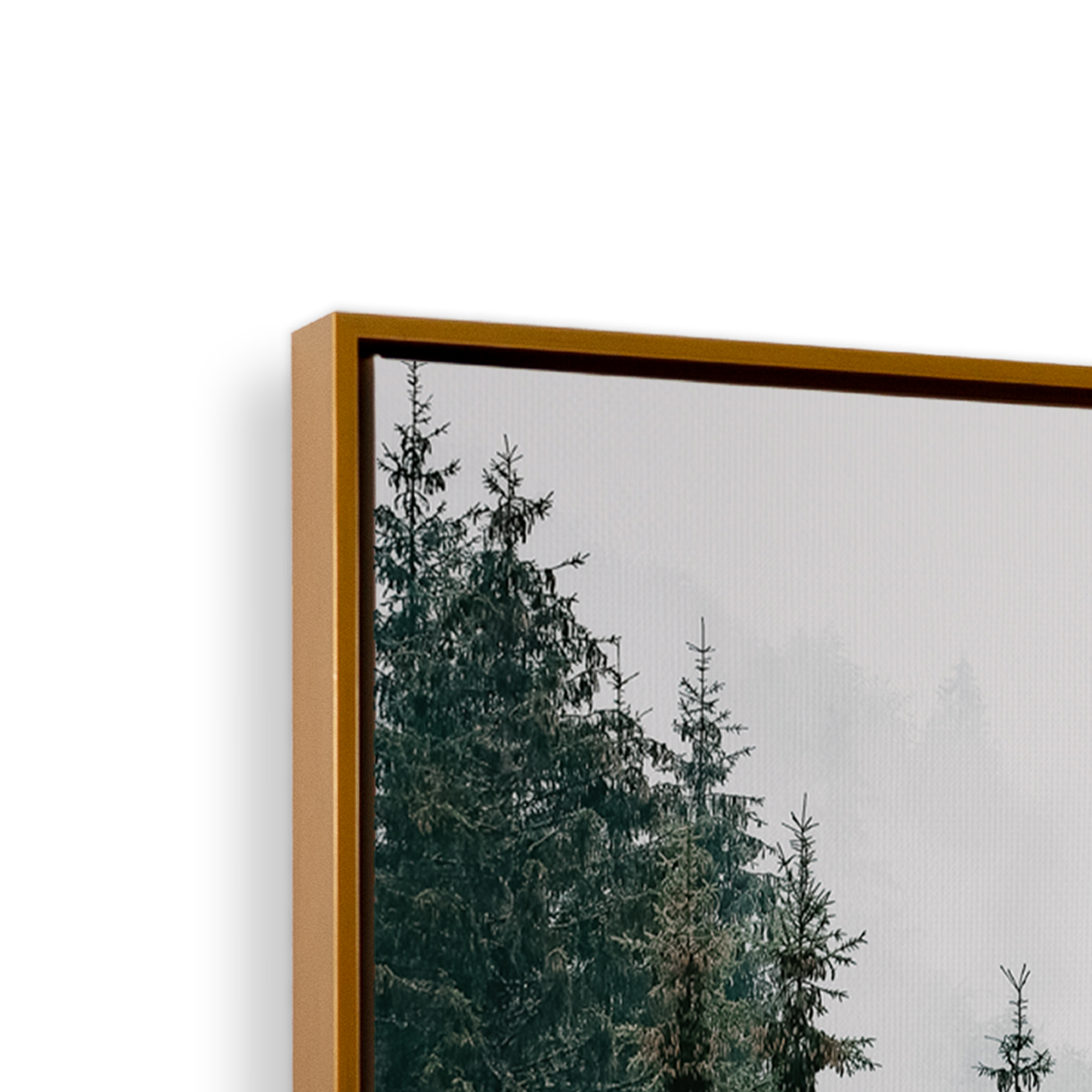 [color:Polished Gold], Picture of art in frame