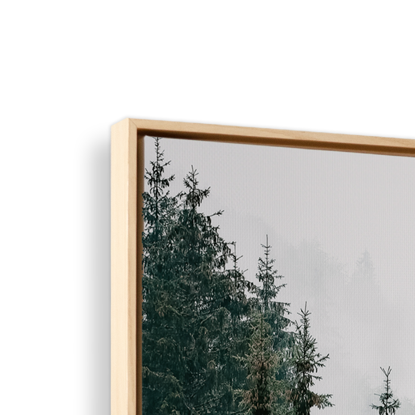 [color:American Maple], Picture of art in frame