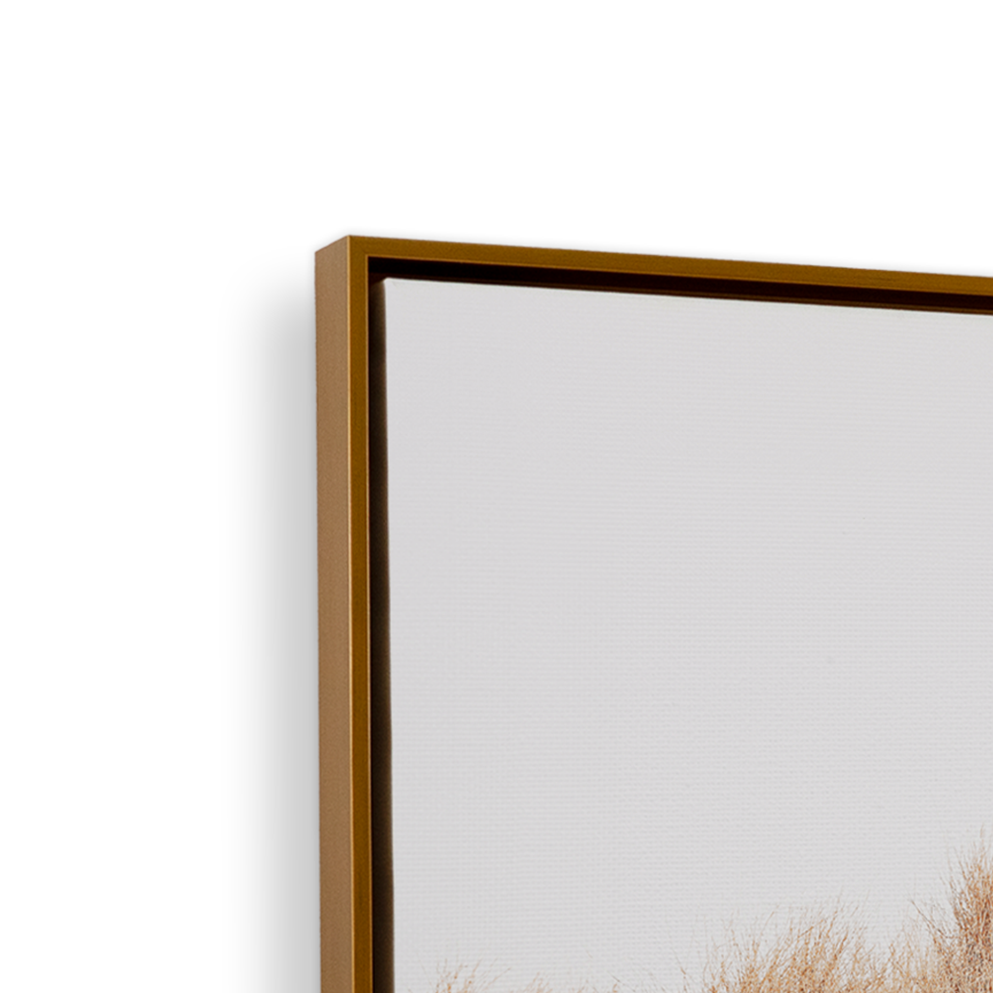 [color:Polished Gold], Picture of art in frame