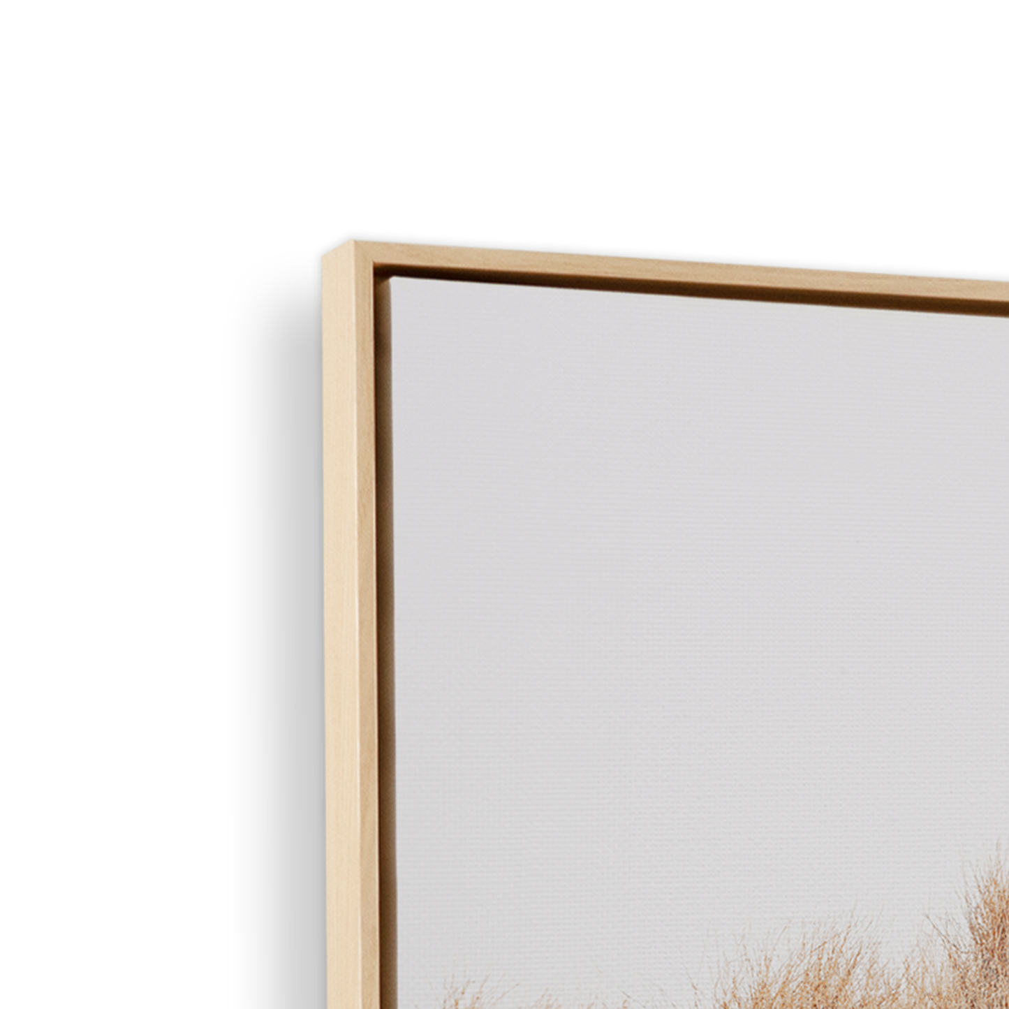 [color:American Maple], Picture of art in frame