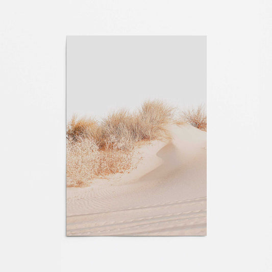 Golden Sandscape Promotional Rolled Print