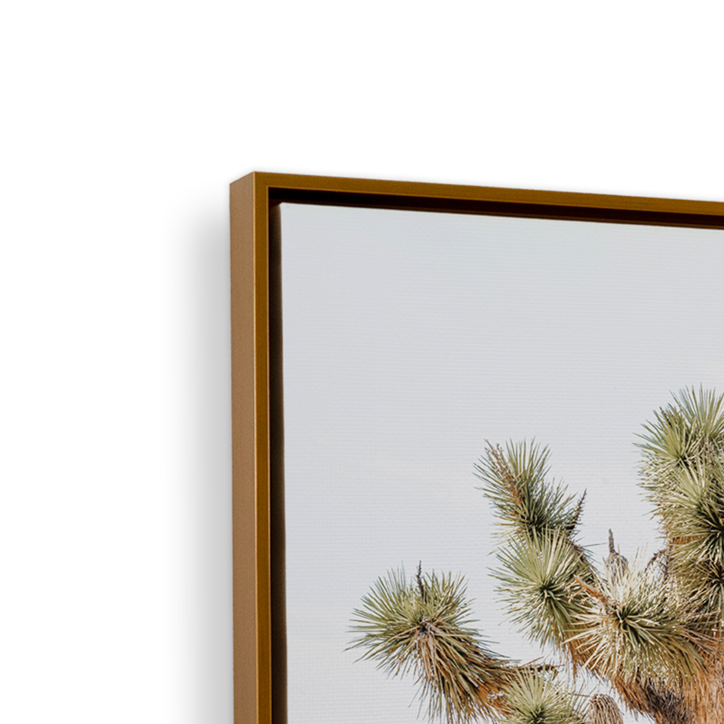 [color:Polished Gold], Picture of art in frame