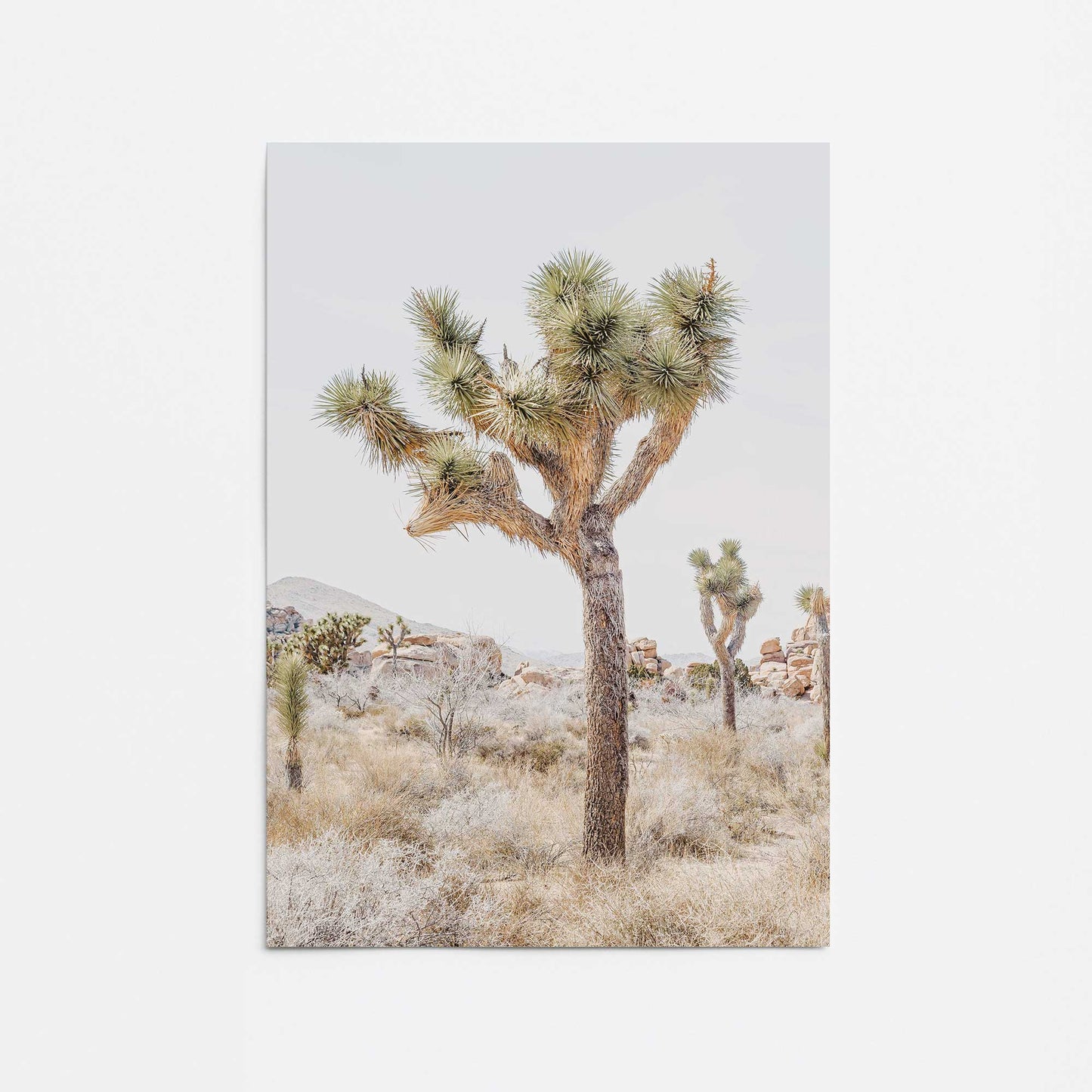 Oasis Rising Promotional Rolled Print