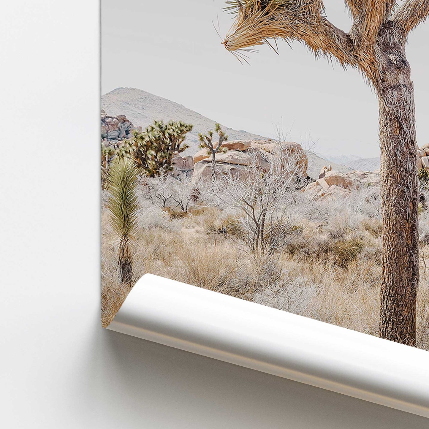 Oasis Rising Promotional Rolled Print