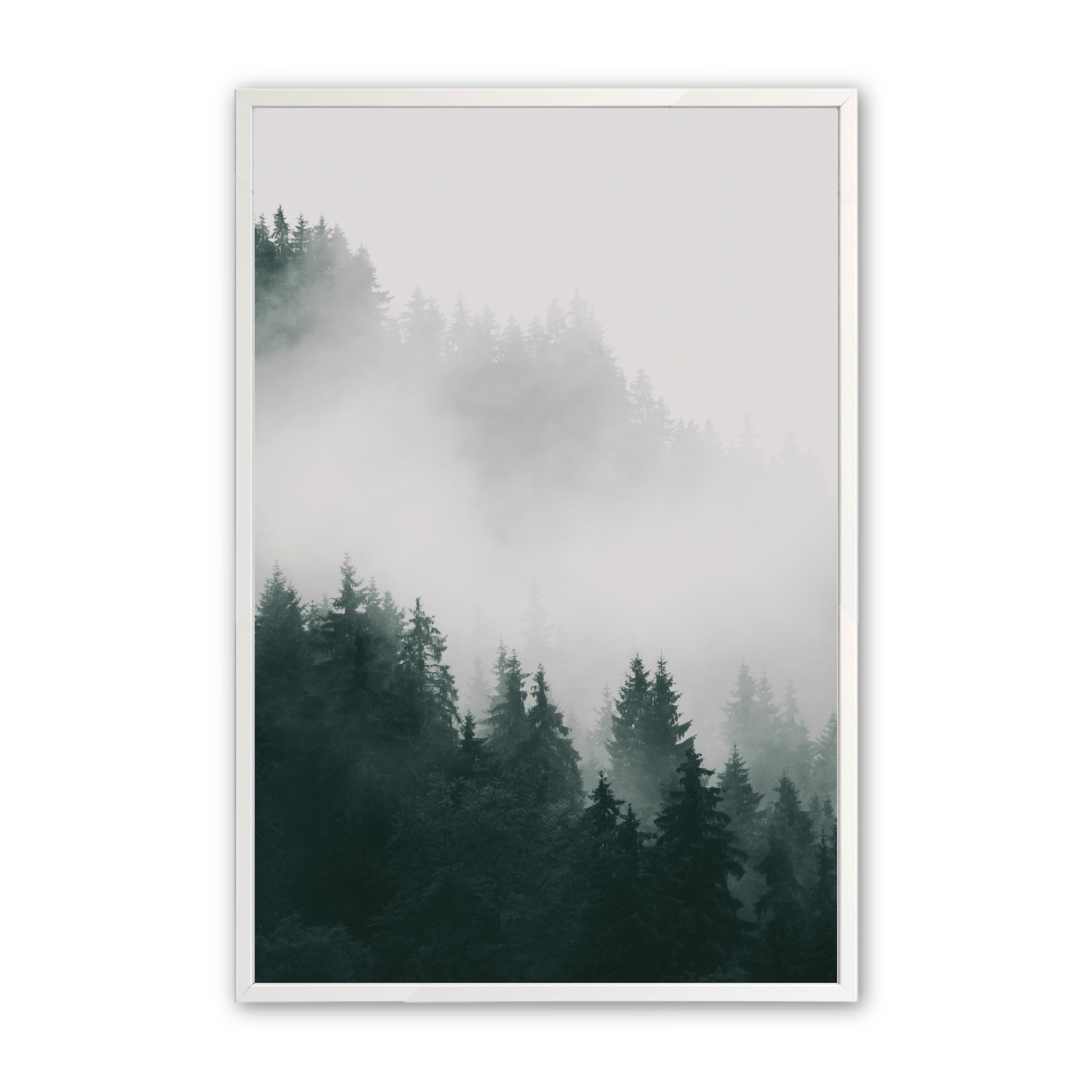 [Color:Opaque White], Art in our Opaque White wood frame