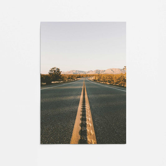 Desert Pathways Promotional Rolled Print