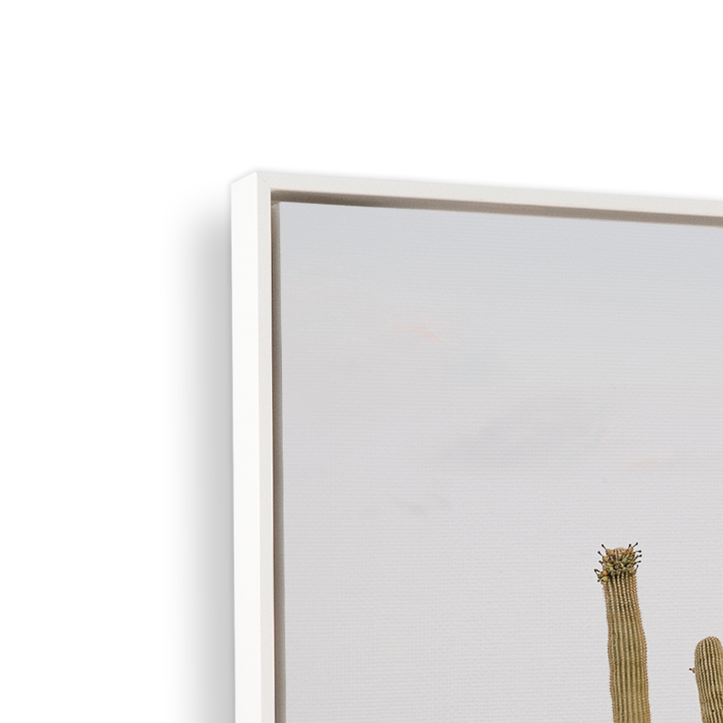 [color:Satin White], Picture of art in frame