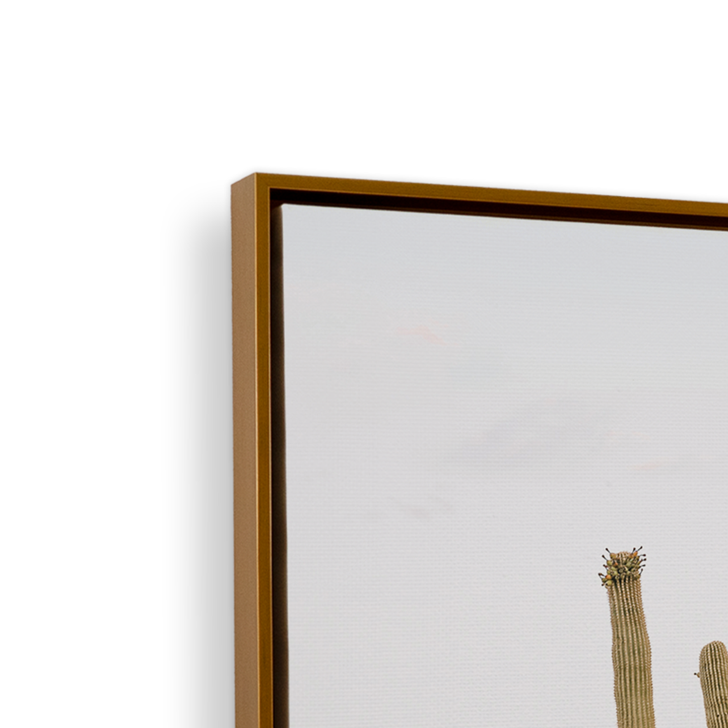 [color:Polished Gold], Picture of art in frame