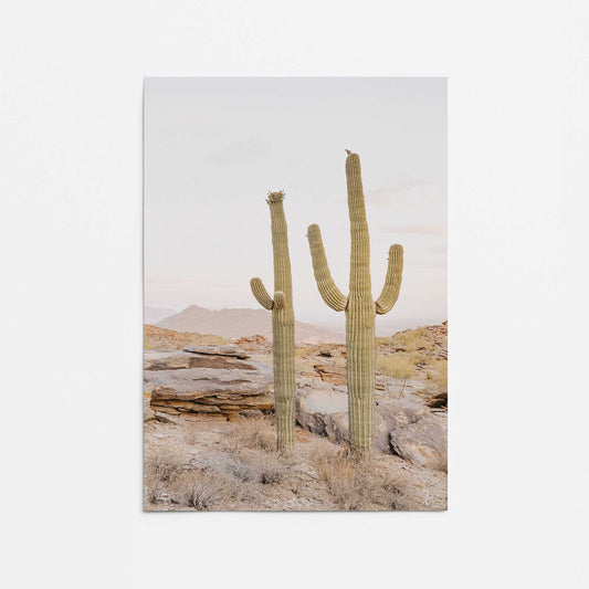 Desert Majesty Promotional Rolled Print