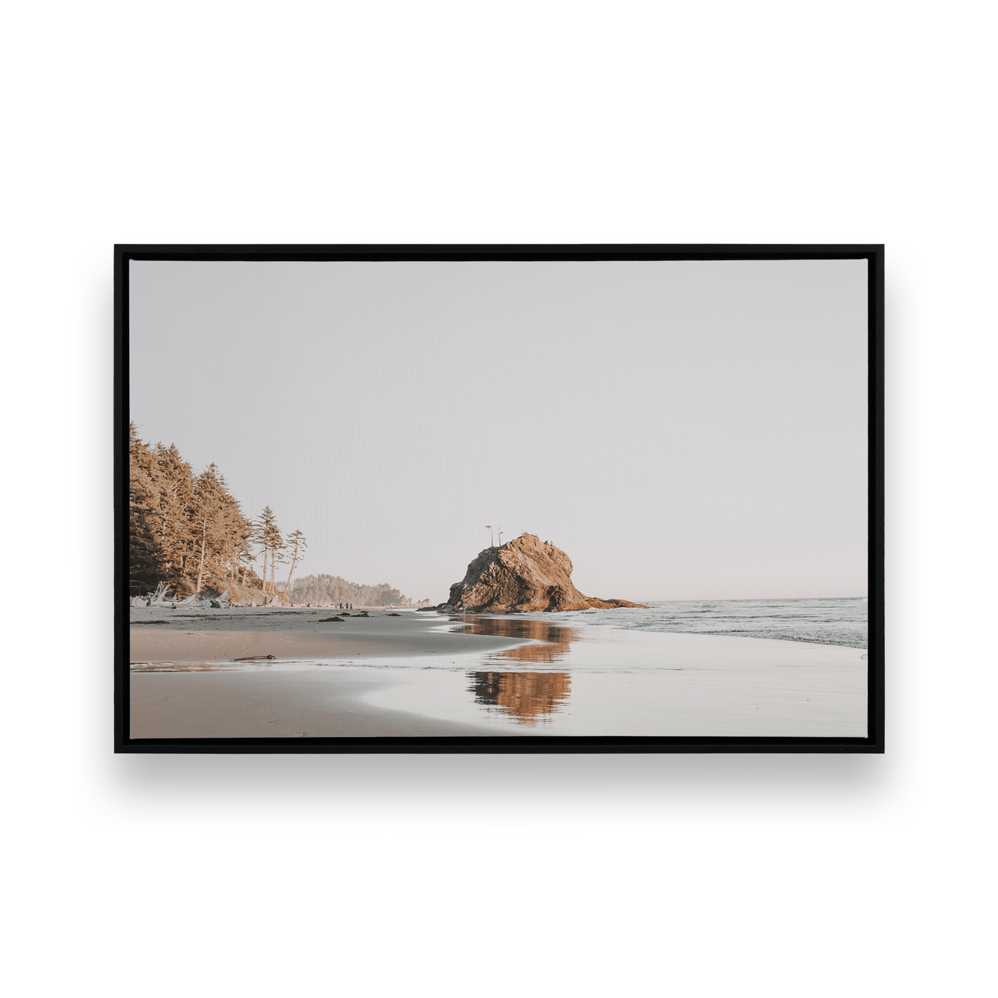 Picture of art in a Satin Black frame