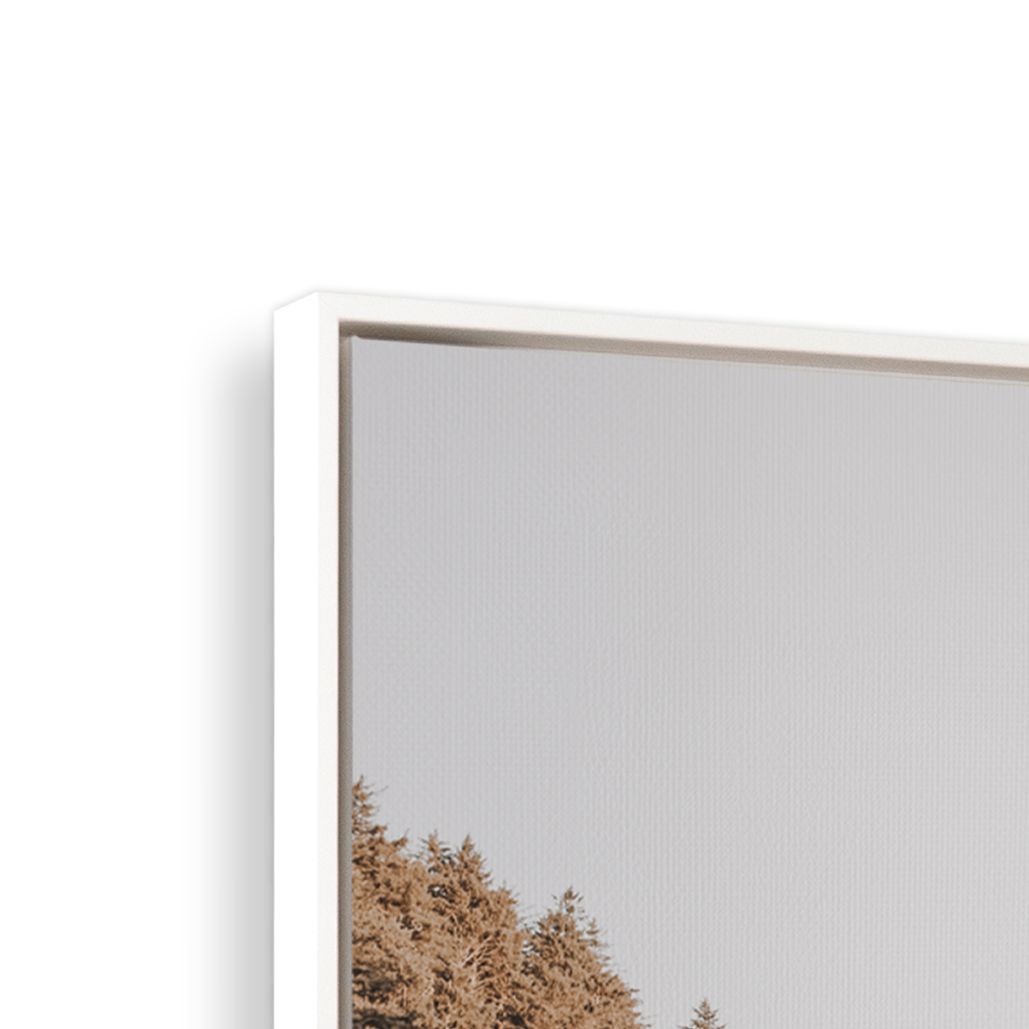 [color:Satin White], Picture of art in frame