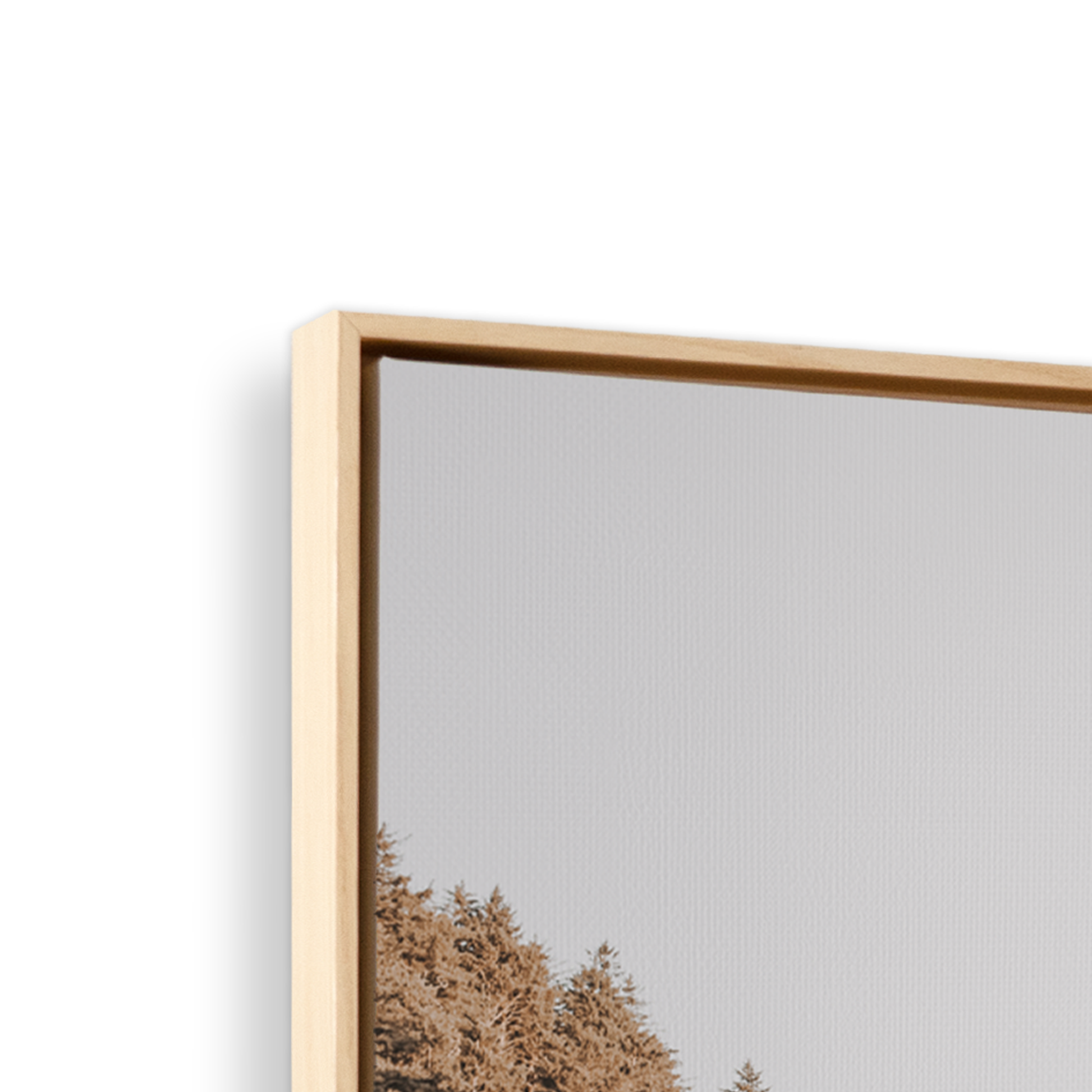 [color:American Maple], Picture of art in frame