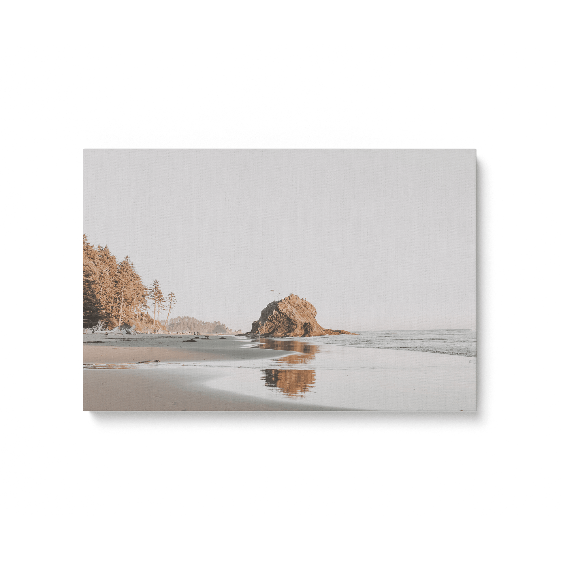 [Color:Stretched Canvas], Picture of art