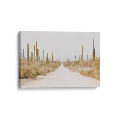 Desert Tranquility on Canvas