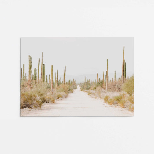 Desert Tranquility Print Promotional Rolled Print