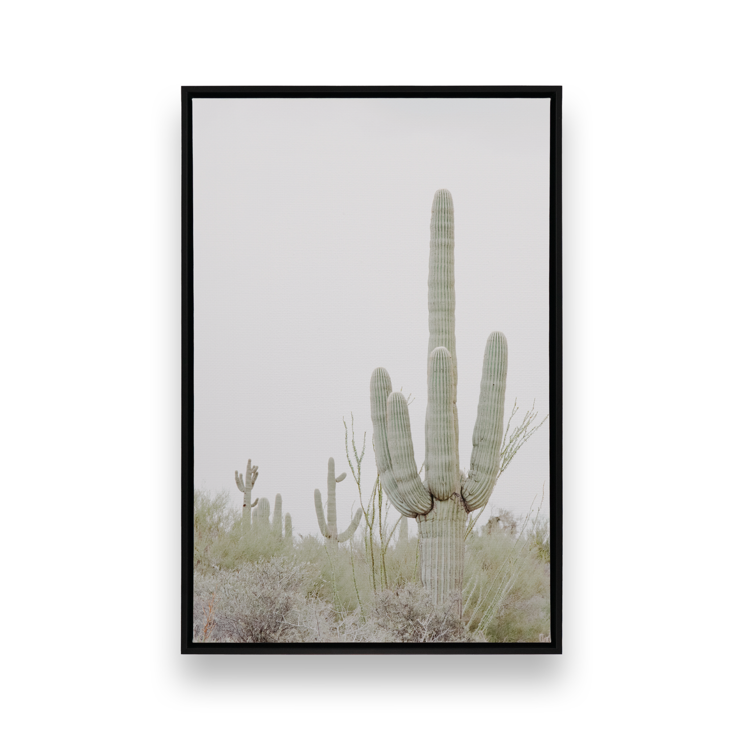 [Color:Satin Black],[SPECIAL], Front image of the art