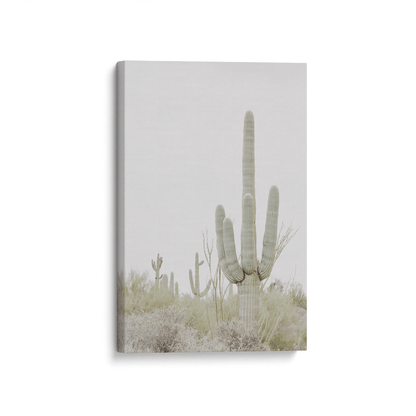 Desert Cactus on Canvas