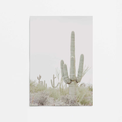 Desert Cactus Promotional Rolled Print