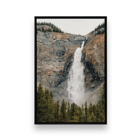 Picture of art in a Satin Black frame